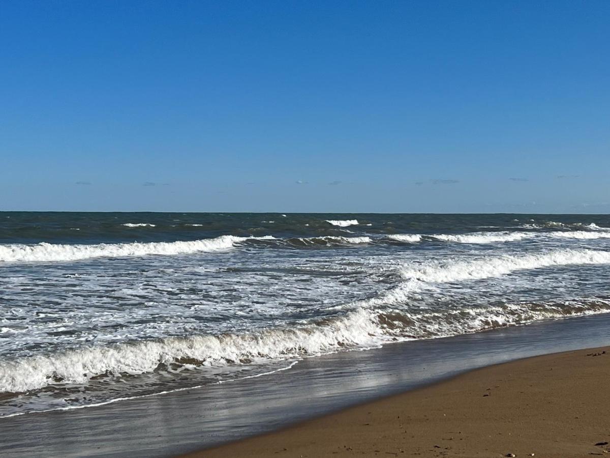 Piso Los Angeles - 1Ra Linea De Playa Дения Екстериор снимка